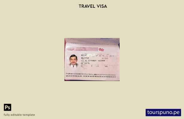 Plantilla de visa japonesa lista para imprimir